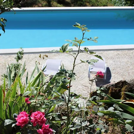 Mit Terrasse By Interhome