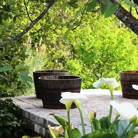 Mit Terrasse By Interhome *