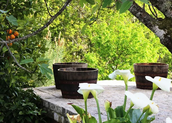 Mit Terrasse By Interhome *