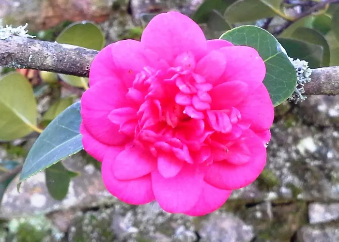 Casa de Férias Mit Terrasse By Interhome Tondela